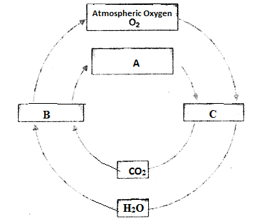 HOTS Questions for Class 9 Science Chapter 14 Natural Resources image - 1