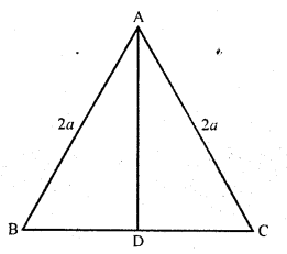 RD Sharma Class 10 Solutions Chapter 7 Triangles Ex 7.7 13