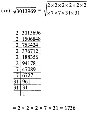 RD Sharma Class 8 Solutions Chapter 3 Squares and Square Roots Ex 3.4 7