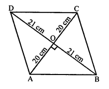 RS Aggarwal Class 10 Solutions Chapter 4 Triangles Ex 4E 24