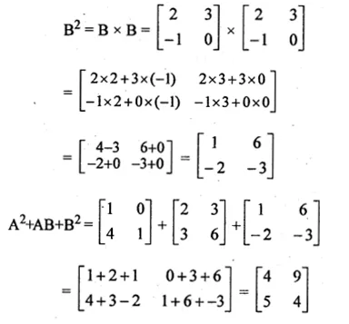 ML Aggarwal Class 10 Solutions for ICSE Maths Chapter 8 Matrices Ex 8.3 Q14.2