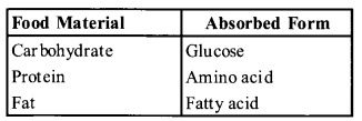 NCERT Exemplar Solutions for Class 11 Biology Chapter 16 Digestion and Absorption 5