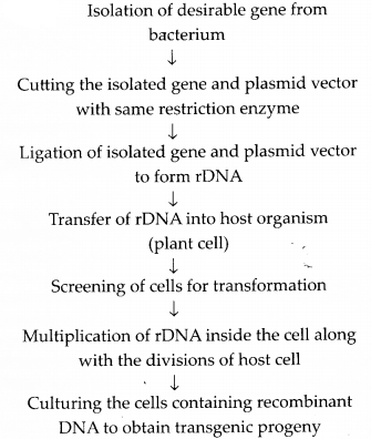 NCERT Exemplar Solutions for Class 12 Biology chapter 12 Biotechnology and Its Applications 2