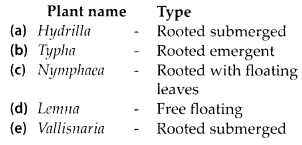 NCERT Exemplar Solutions for Class 12 Biology chapter 13 Organisms and Populations 7