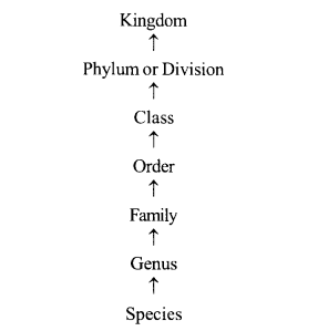 NCERT Solutions for Class 11 Biology Chapter 1 The Living World 2