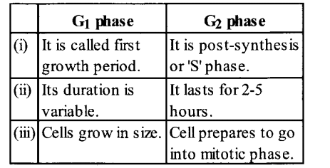 NCERT Solutions for Class 11 Biology Chapter 10 Cell Cycle and Cell Division 6