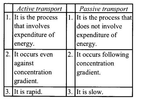 NCERT Solutions for Class 11 Biology Chapter 11 Transport in Plants 10