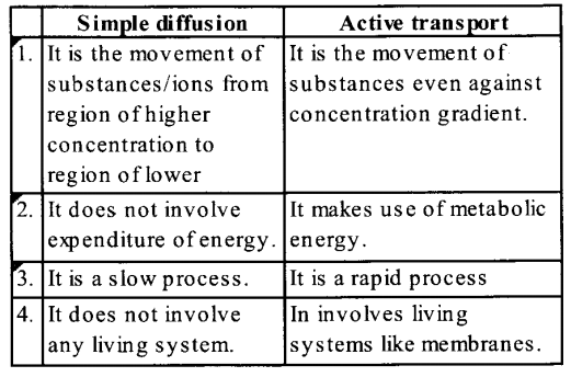 NCERT Solutions for Class 11 Biology Chapter 11 Transport in Plants 14