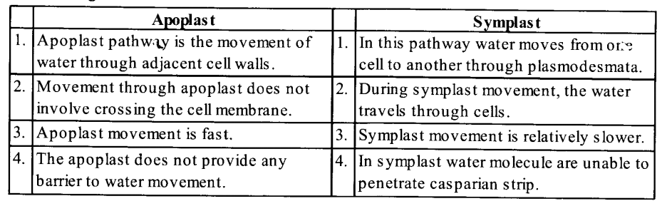 NCERT Solutions for Class 11 Biology Chapter 11 Transport in Plants 5