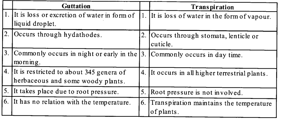 NCERT Solutions for Class 11 Biology Chapter 11 Transport in Plants 6
