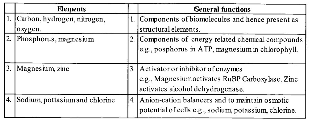 NCERT Solutions for Class 11 Biology Chapter 12 Mineral Nutrition 4