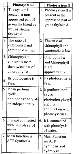 NCERT Solutions for Class 11 Biology Chapter 13 Photosynthesis 7