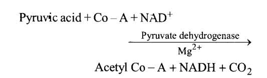 NCERT Solutions for Class 11 Biology Chapter 14 Respiration in Plants 15