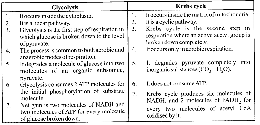 NCERT Solutions for Class 11 Biology Chapter 14 Respiration in Plants 2