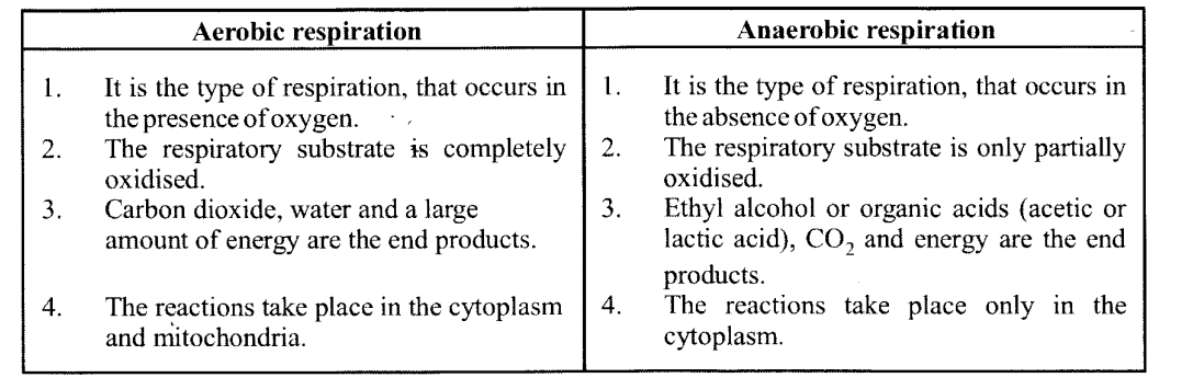 NCERT Solutions for Class 11 Biology Chapter 14 Respiration in Plants 8