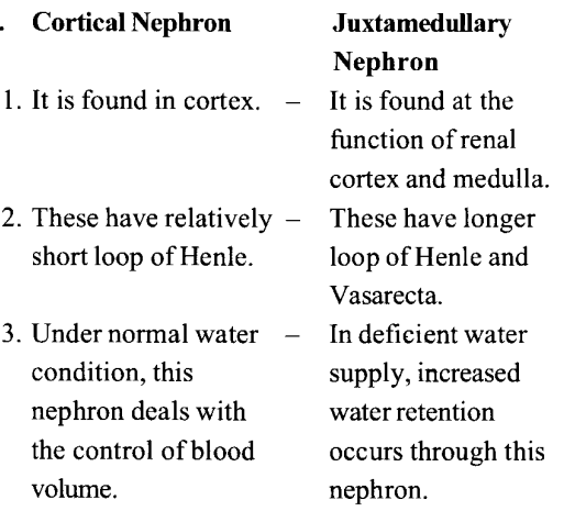 NCERT Solutions for Class 11 Biology Chapter 19 Excretory Products and their Elimination 1