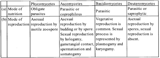 NCERT Solutions for Class 11 Biology Chapter 2 Biological Classification 2