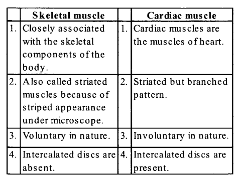 NCERT Solutions for Class 11 Biology Chapter 20 Locomotion and Movement 5