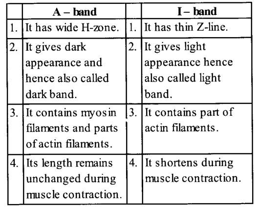 NCERT Solutions for Class 11 Biology Chapter 20 Locomotion and Movement 6