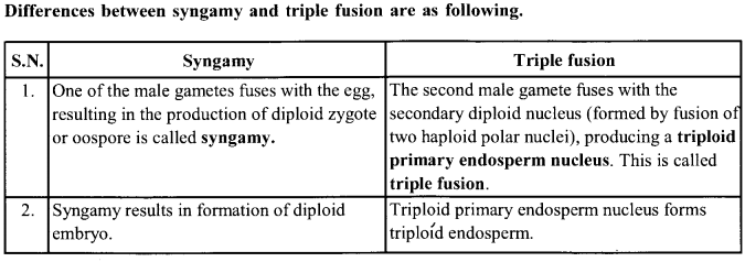 NCERT Solutions for Class 11 Biology Chapter 3 Plant Kingdom 2