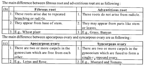 NCERT Solutions for Class 11 Biology Chapter 5 Morphology of Flowering Plants 3