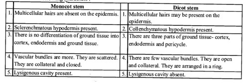 NCERT Solutions for Class 11 Biology Chapter 6 Anatomy of Flowering Plants 5