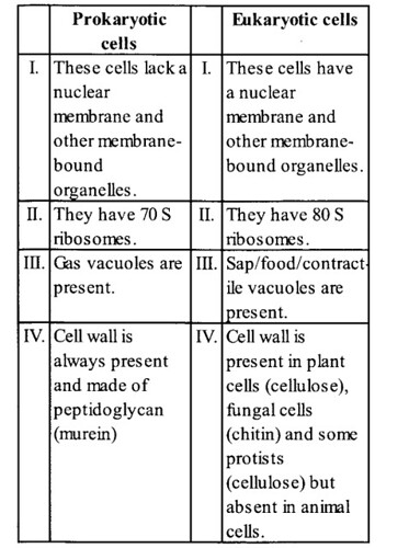 NCERT Solutions for Class 11 Biology Chapter 8 Cell The Unit of Life 6