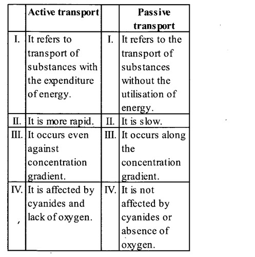 NCERT Solutions for Class 11 Biology Chapter 8 Cell The Unit of Life 7