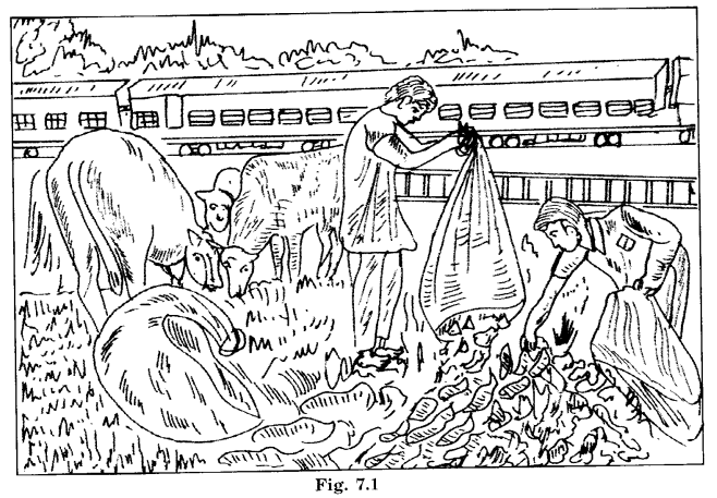 NCERT Solutions for Class 6 Social Science Civics Chapter 7 Urban Administration image - 1