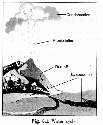 NCERT Solutions for Class 7 Social Science Geography Chapter 5 Water 1
