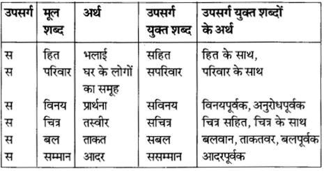 NCERT Solutions for Class 8 Hindi Vasant Chapter 11 1