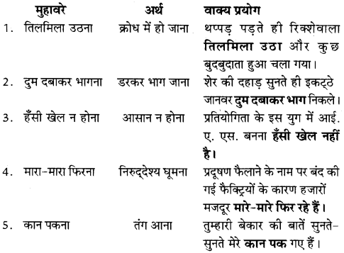 NCERT Solutions for Class 8 Hindi Vasant Chapter 14 अकबरी लोटा 1