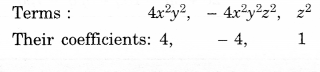 NCERT Solutions for Class 8 Maths Chapter 9 Algebraic Expressions and Identities Ex 9.1 3