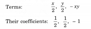 NCERT Solutions for Class 8 Maths Chapter 9 Algebraic Expressions and Identities Ex 9.1 5