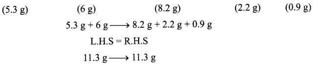 CBSE Sample Papers for Class 9 Science Paper 3 Q.24