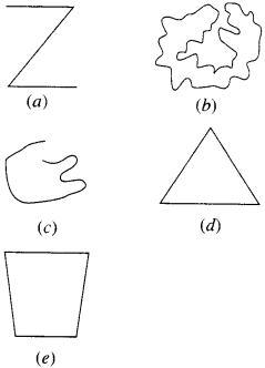NCERT Solutions for Class 6 Maths Chapter 4 Basic Geometrical Ideas 10