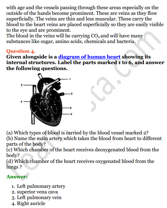 Selina Concise Biology Class 6 ICSE Solutions Chapter 6 The Circulatory System 9
