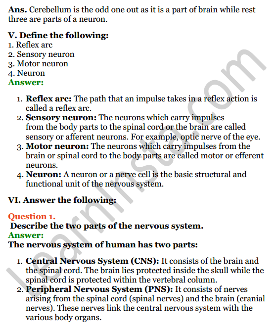 Selina Concise Biology Class 7 ICSE Solutions Chapter 6 Nervous System 7