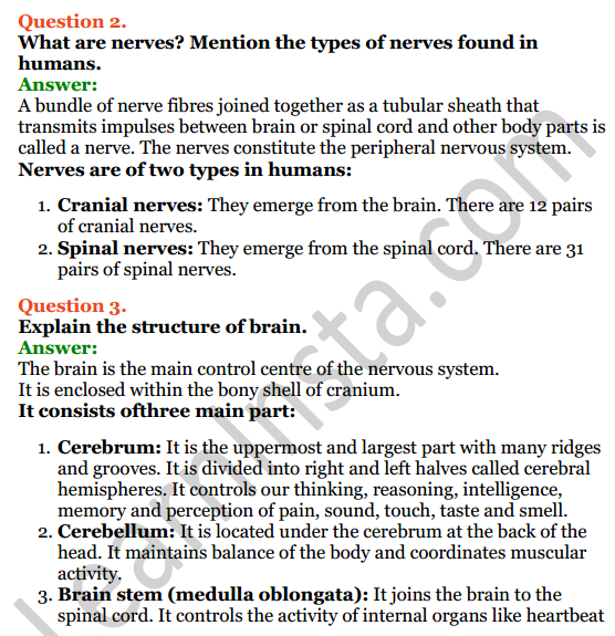 Selina Concise Biology Class 7 ICSE Solutions Chapter 6 Nervous System 8