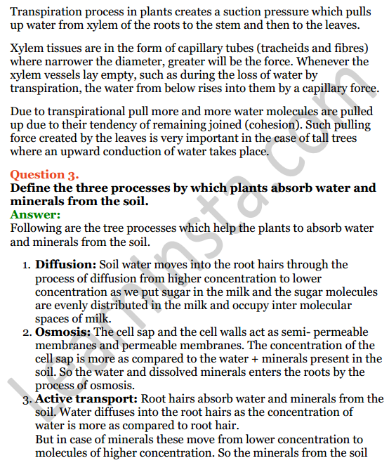 Selina Concise Biology Class 8 ICSE Solutions Chapter 1 Transportation in Plants 13