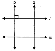 Selina Concise Mathematics Class 6 ICSE Solutions Chapter 23 Fundamental Concepts Ex 23B Q7