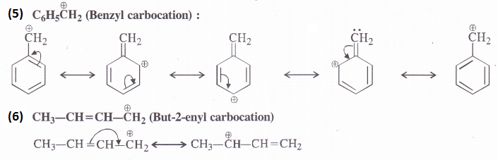 NCERT Solutions for Class 11 Chemistry Chapter 12 Organic Chemistry Some Basic Principles and Techniques 11