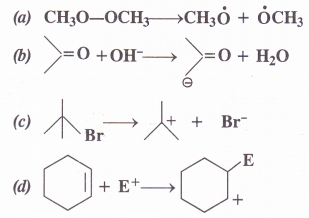 NCERT Solutions for Class 11 Chemistry Chapter 12 Organic Chemistry Some Basic Principles and Techniques 14