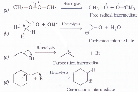NCERT Solutions for Class 11 Chemistry Chapter 12 Organic Chemistry Some Basic Principles and Techniques 15