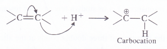 NCERT Solutions for Class 11 Chemistry Chapter 12 Organic Chemistry Some Basic Principles and Techniques 17