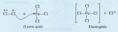 NCERT Solutions for Class 11 Chemistry Chapter 13 Hydrocarbons 23