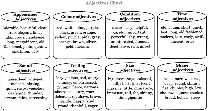 Adjectives For Class 6 Cbse