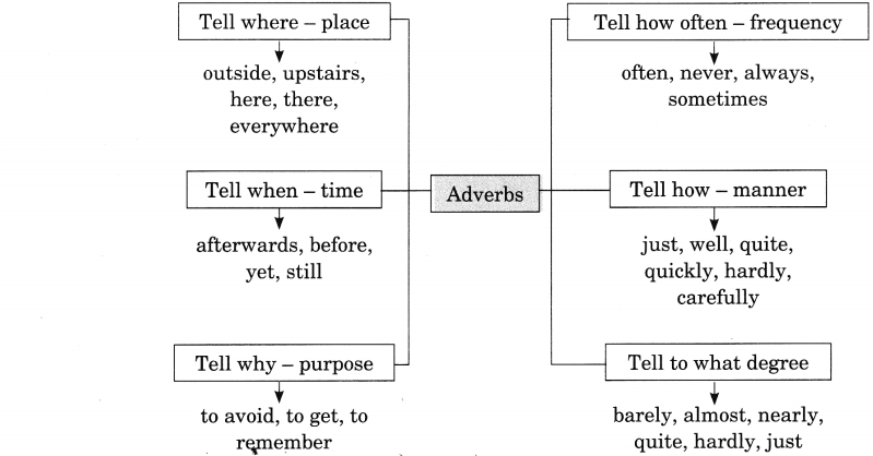 Adverb Exercises for Class 8