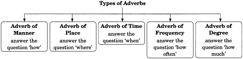 Adverb Exercises for Class 7 CBSE With Answers