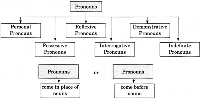 Pronoun Exercises for Class 6 CBSE With Answers